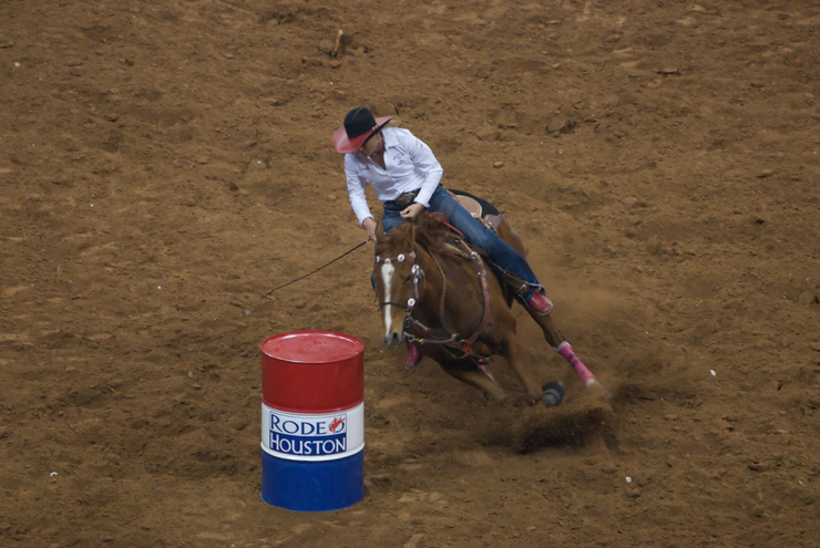 A photo from Rodeo Houston.