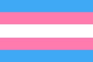 A photo of the transgender flag representing gender fluidity.