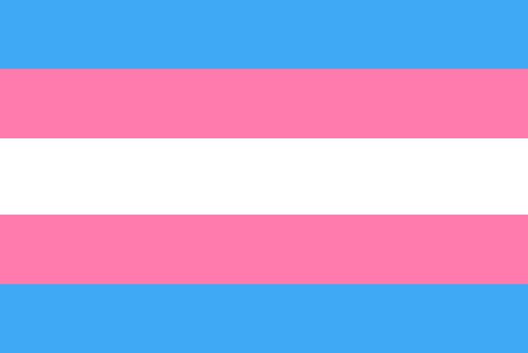 A photo of the transgender flag representing gender fluidity.