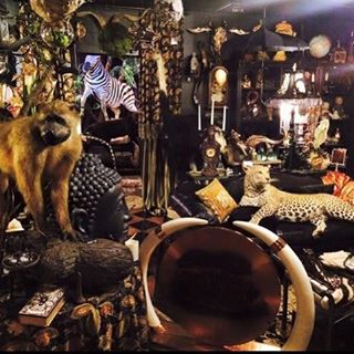 If you’re a Halloween fanatic like us, the sight of spooky pop–up costume shops around town signals your favorite time of the year. But what if we told you that you could get your oddity and eerie fix all year round, simply by making a journey to Houston’s Greater Heights? Meet the curious Wilde Collection—link in bio.