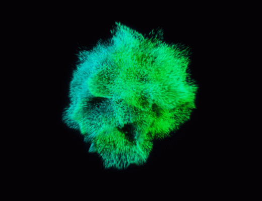 A gif of how to have an OMG orgasm